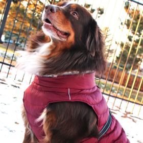 Alpine Extreme Weather Puffer Coat (Option: BurgundyX-Small)