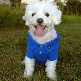 Solid Dog Polo (Option: Nautical BlueLarge)