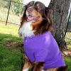 Solid Dog Polo