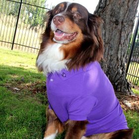 Solid Dog Polo (Option: Ultra VioletX-Small)