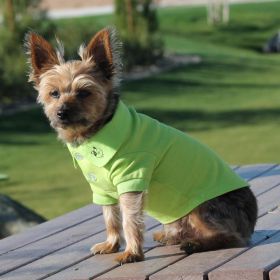 Solid Dog Polo (Option: Green Flash2X-Large)