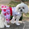 Strawberry Picnic Dog Dress with Matching Leash