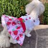 Strawberry Picnic Dog Dress with Matching Leash